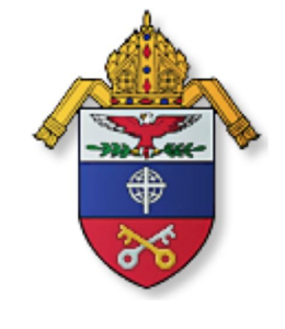 AMS logo